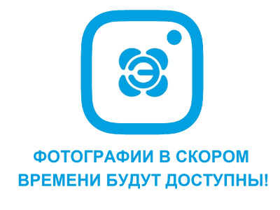 Шнек мясорубки Гамма 2